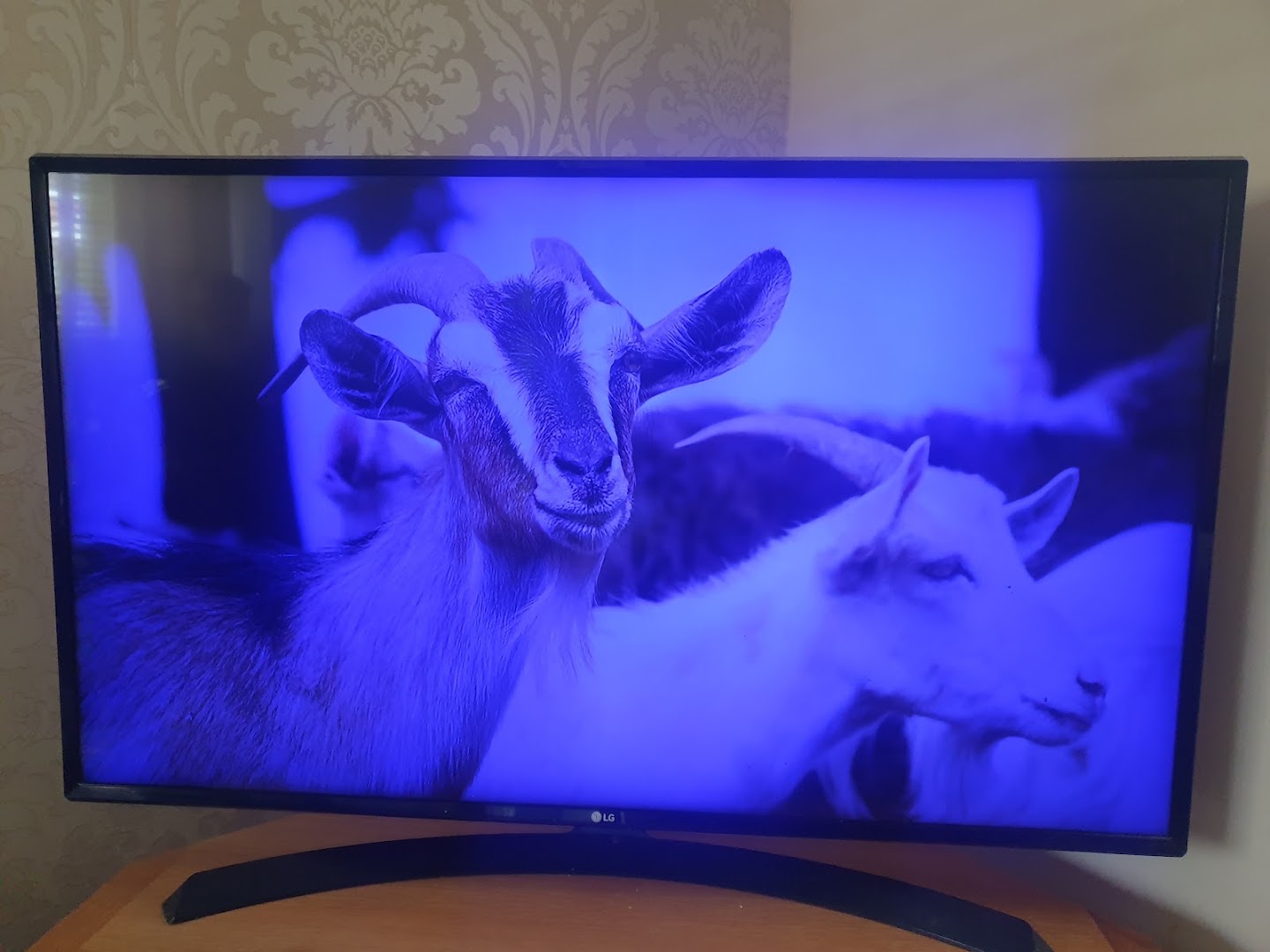Ma television also cctv services · Photos 2